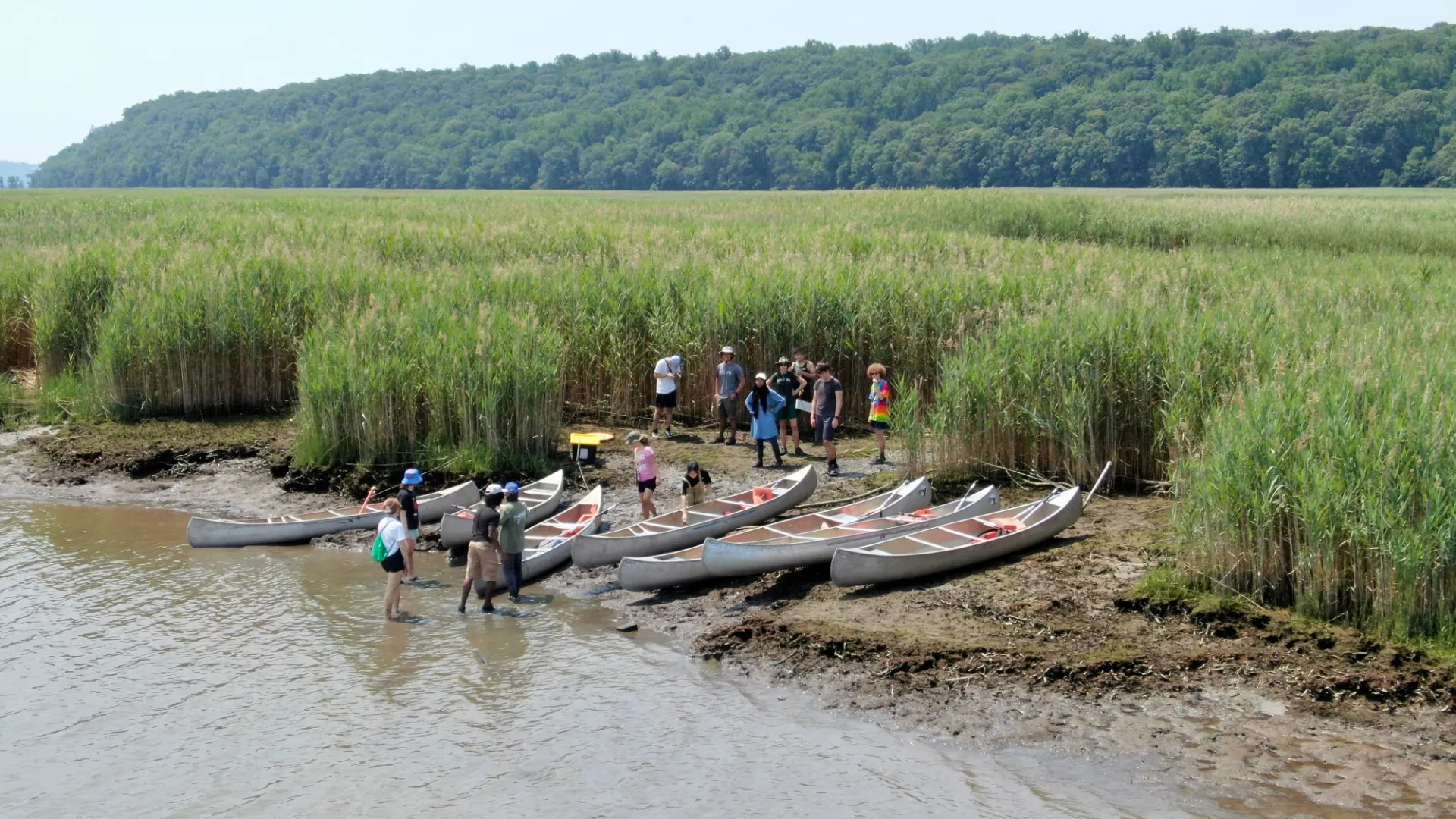 High school students surrounding parked canoes between shallow water and a meadow.